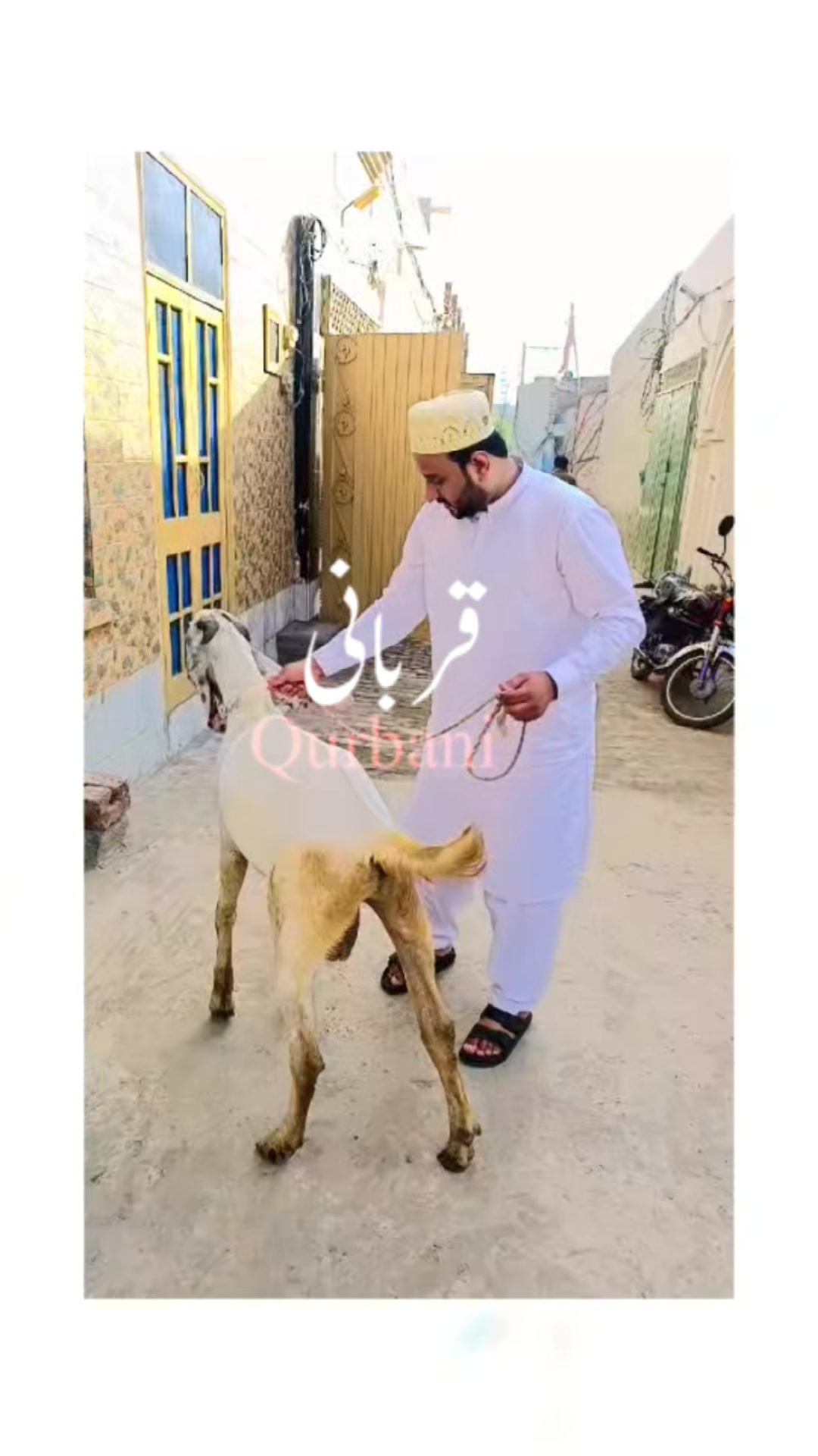 @Bilal javaid