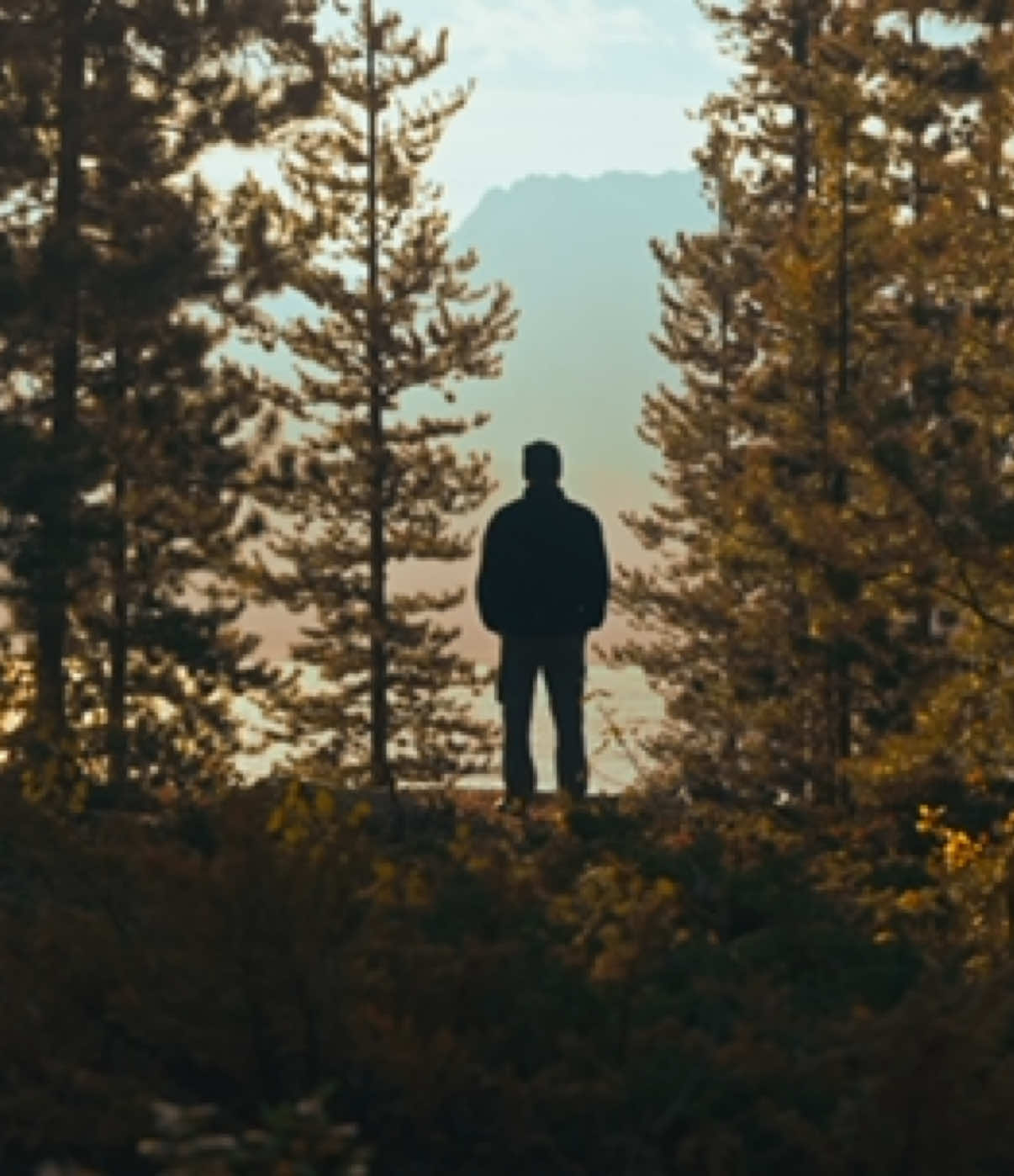 @Mat