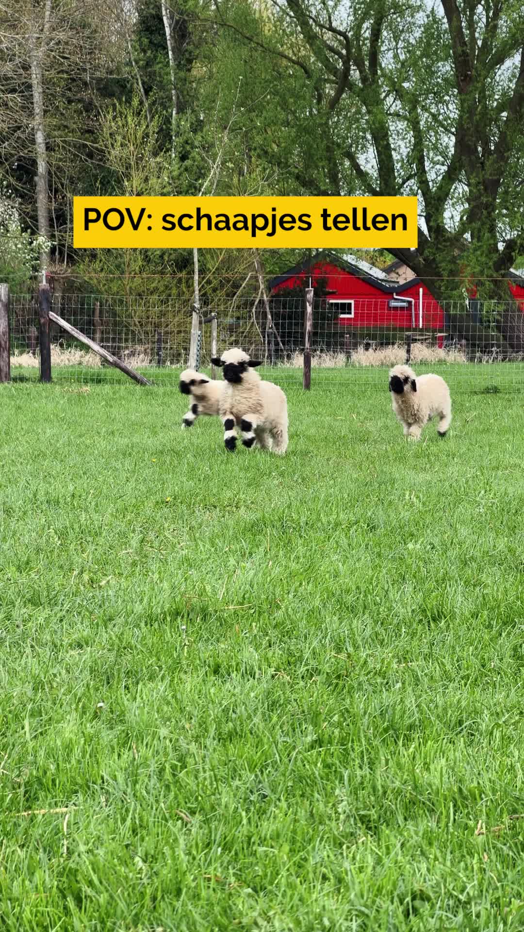 @Beter Bed NL
