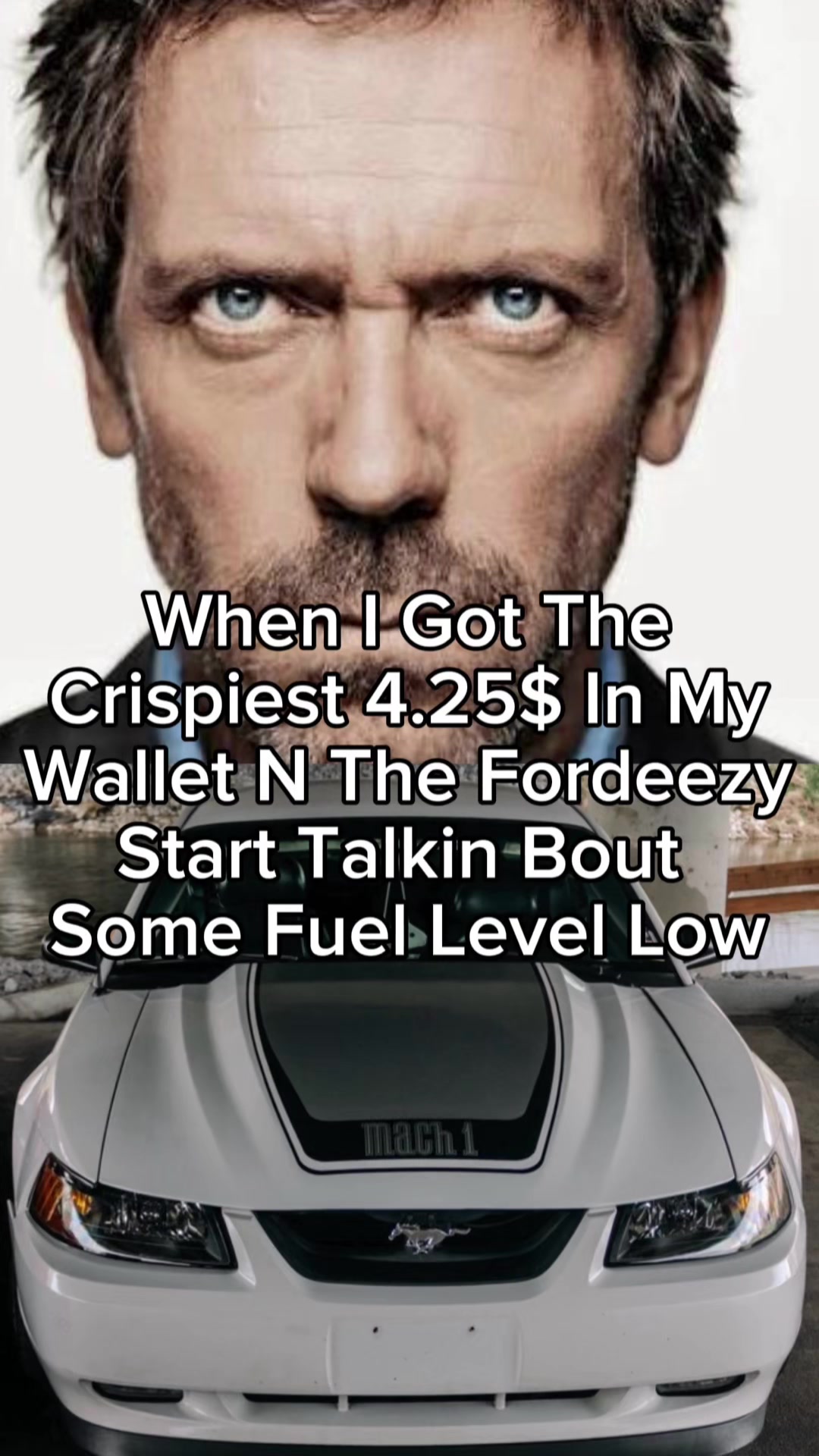 @ThatSlowFox