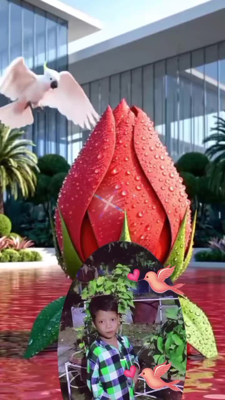 @Dev Kantdada