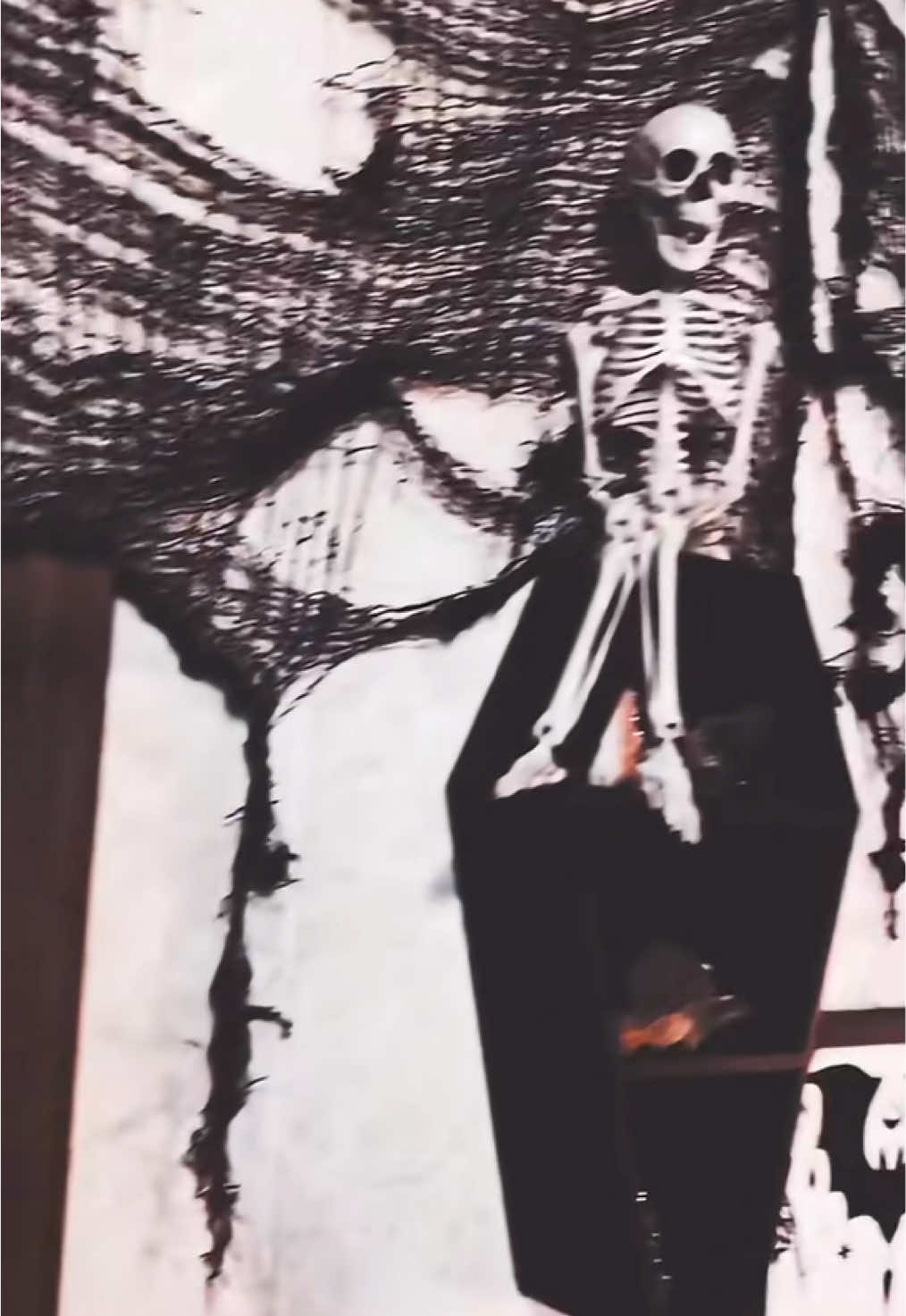 @𝖈𝖊𝖘𝖆𝖗𝖆𝖍🎃🦇