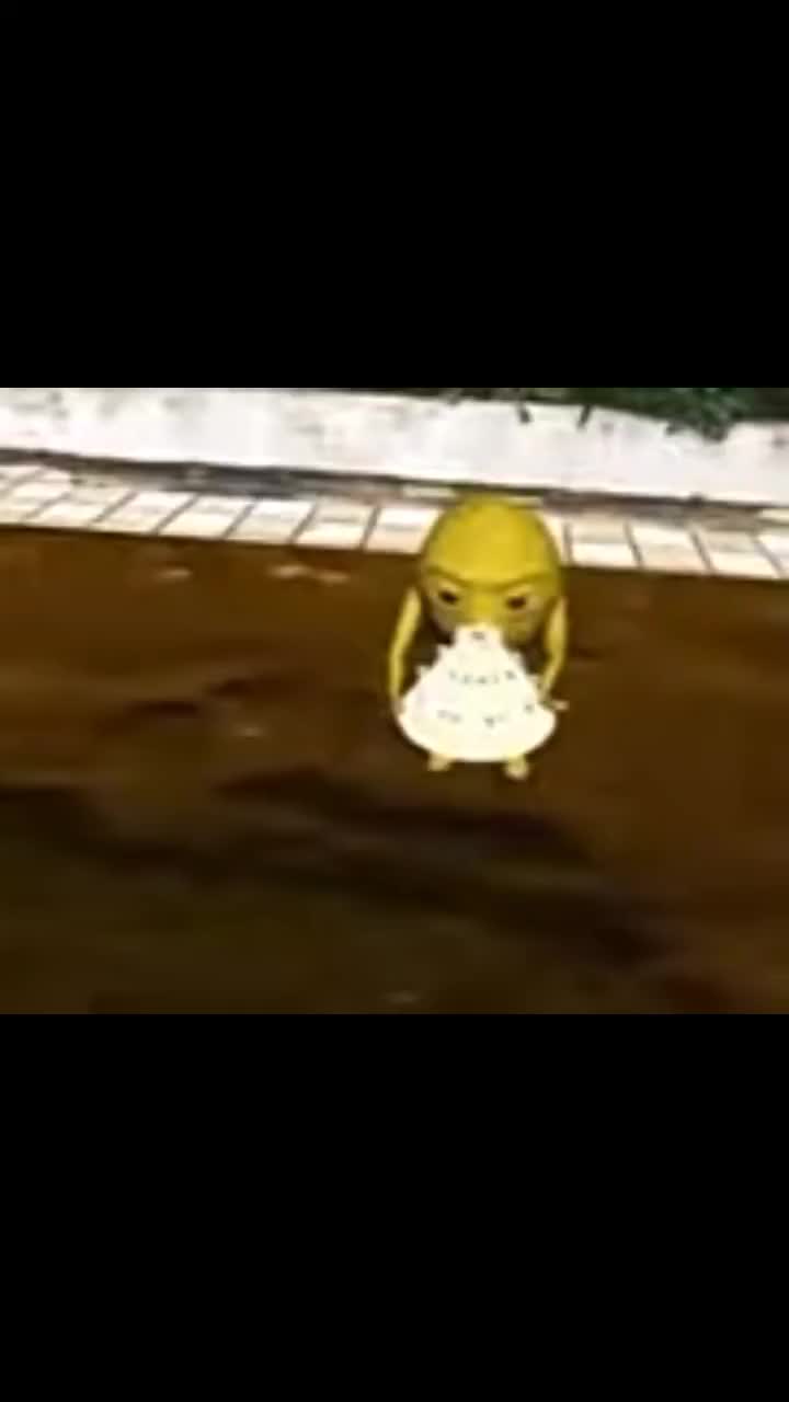 @ケンゾー