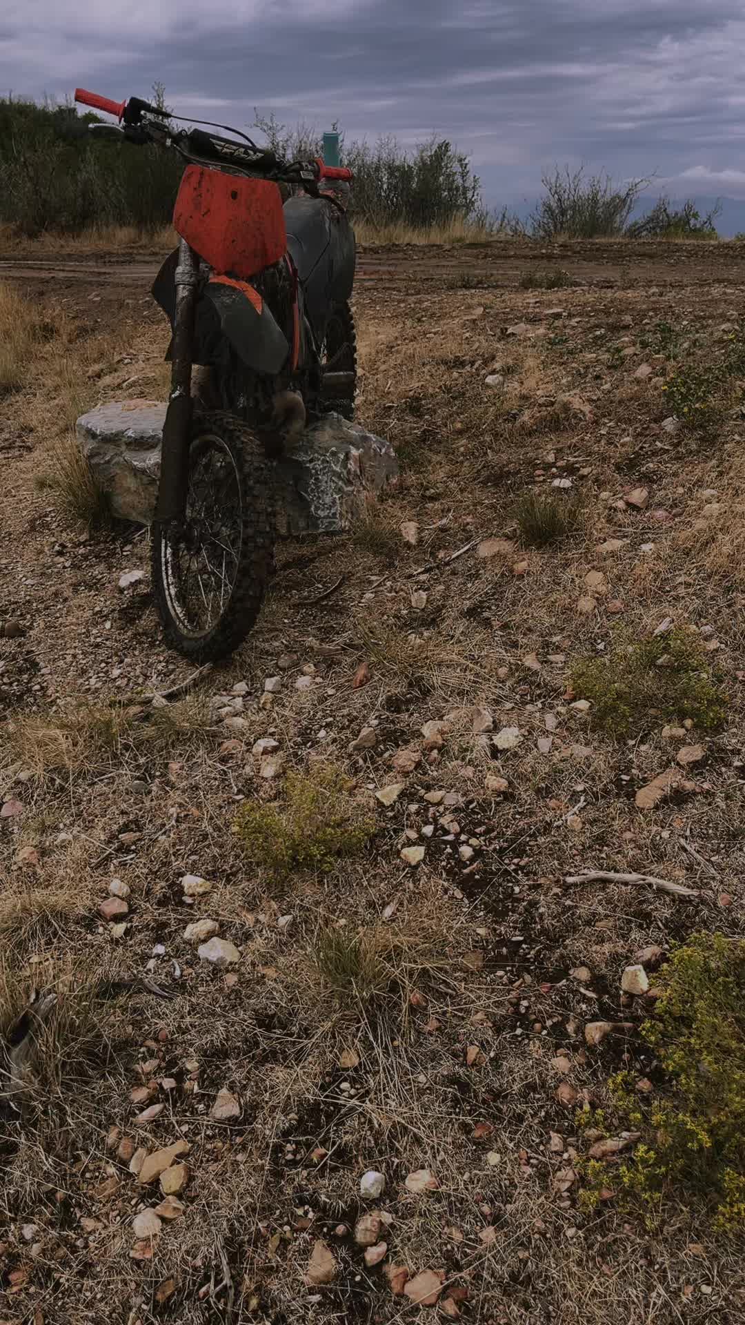 @RedNeck🦅