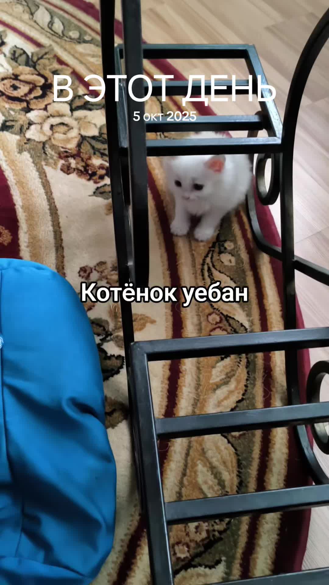 @саша шишка