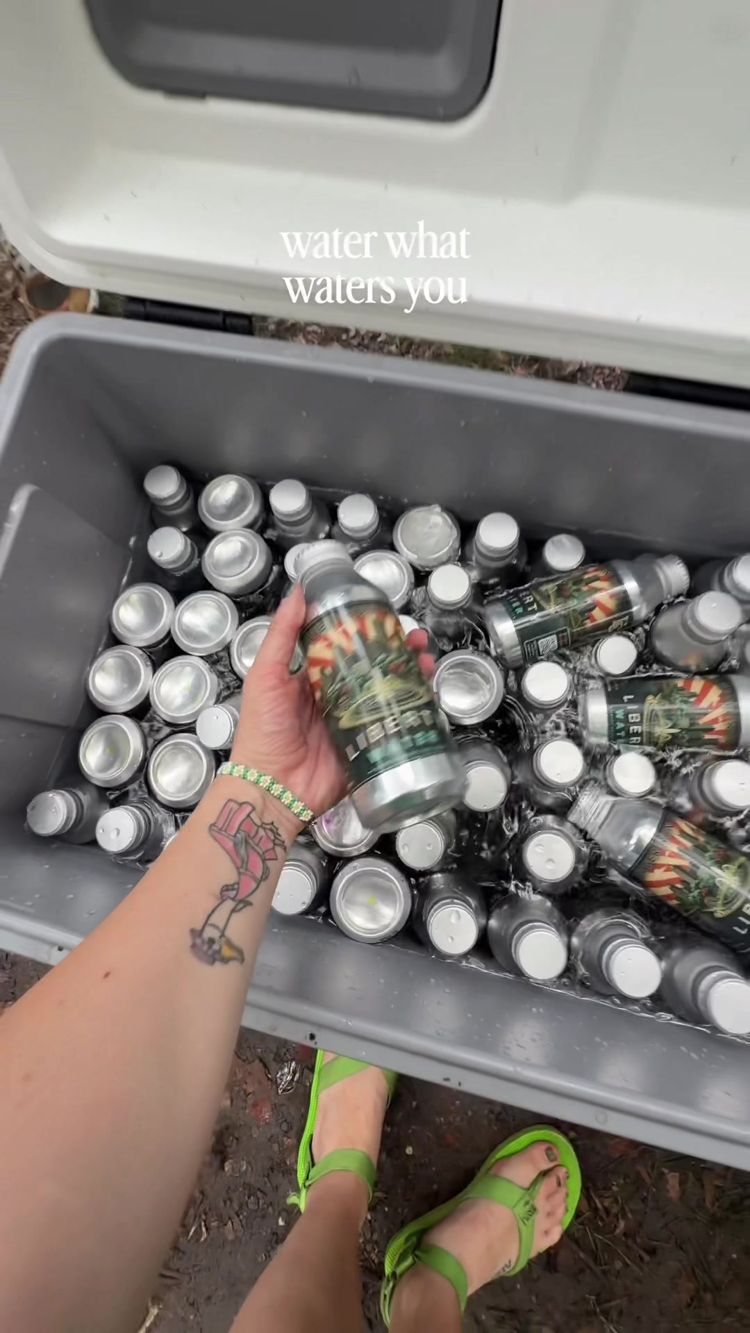 @greeneggsandfran