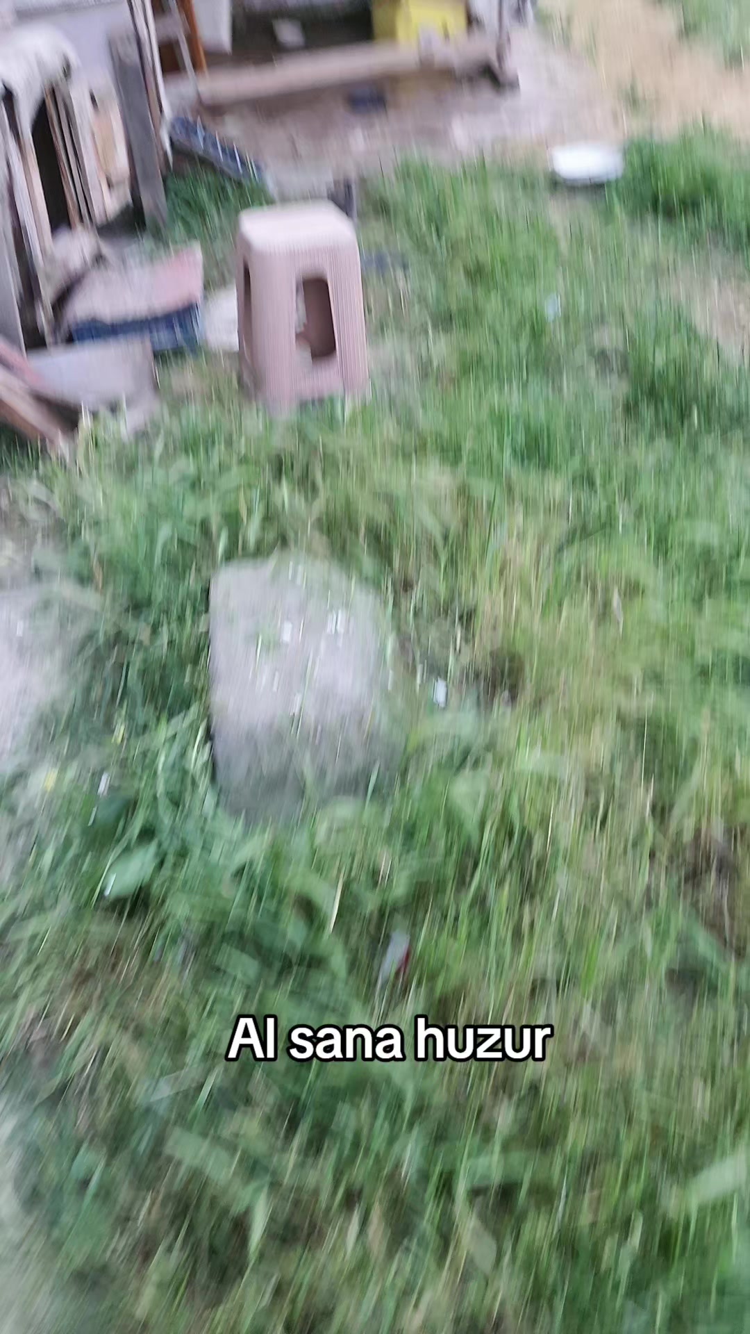 @kuzey