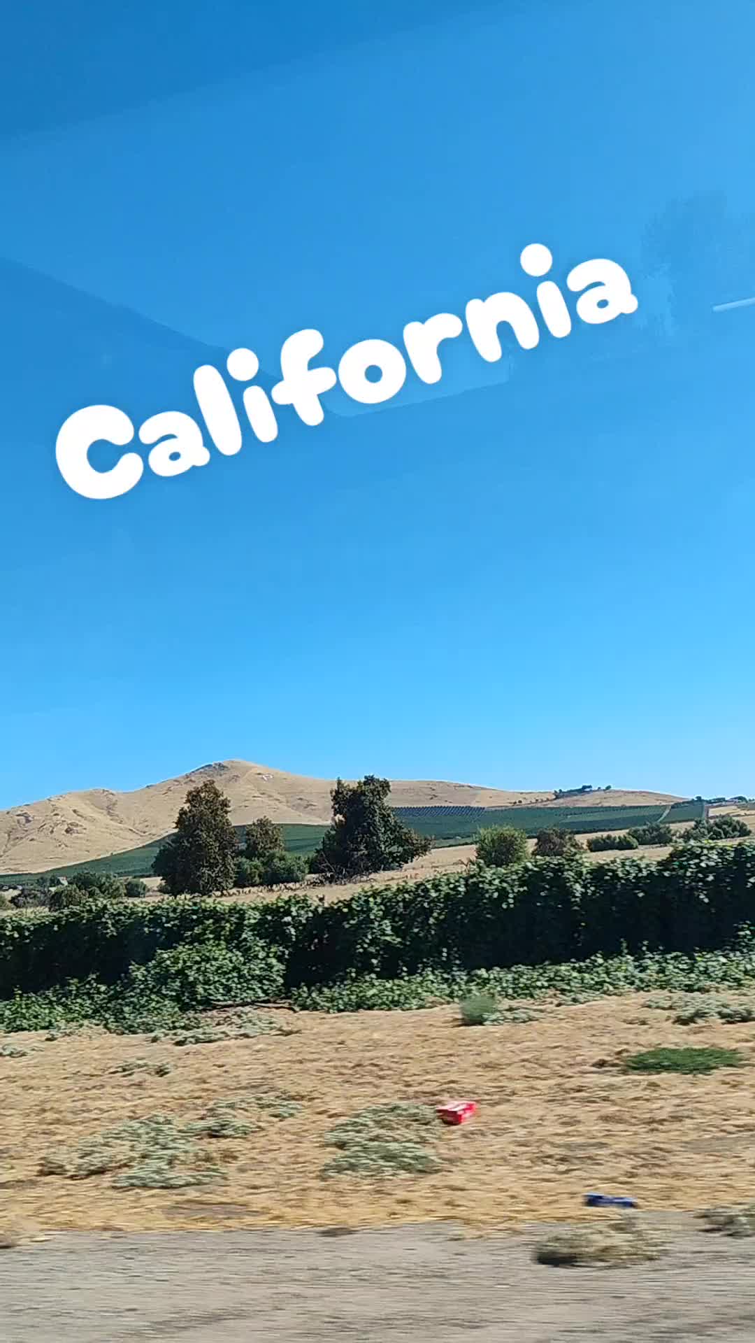 @KingGeedra