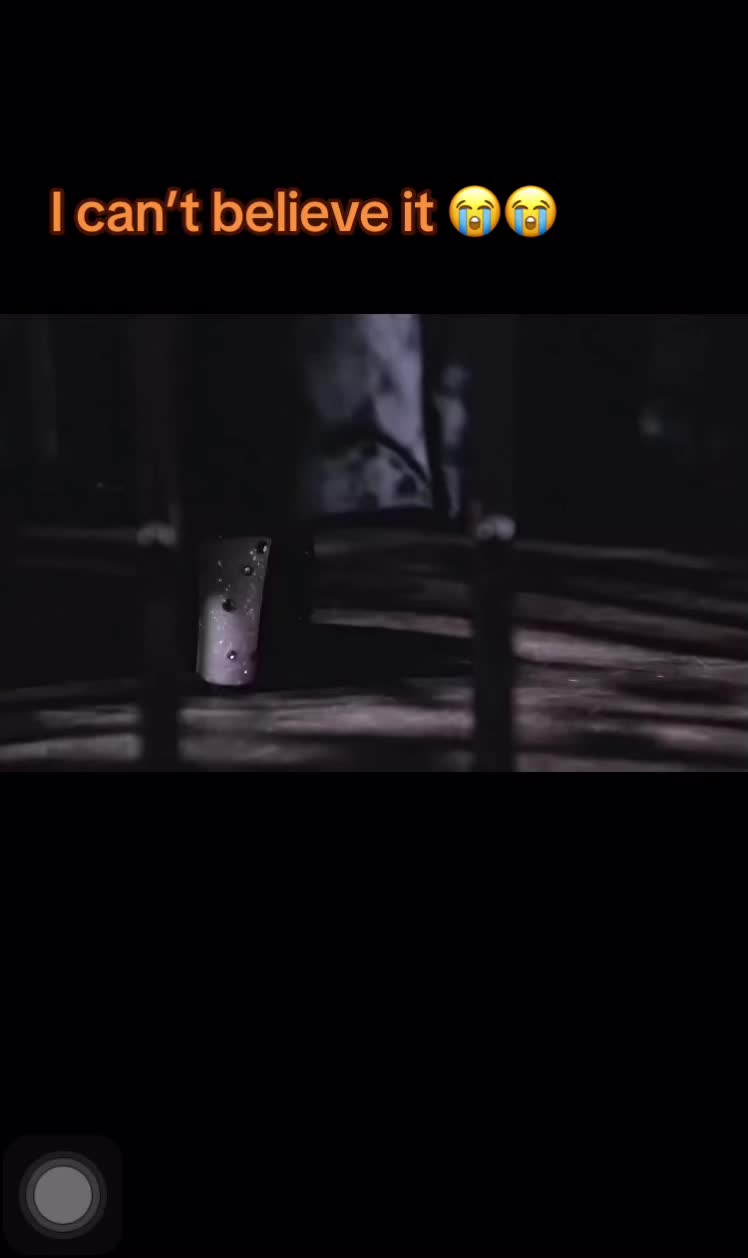 @⨷Luna⨷