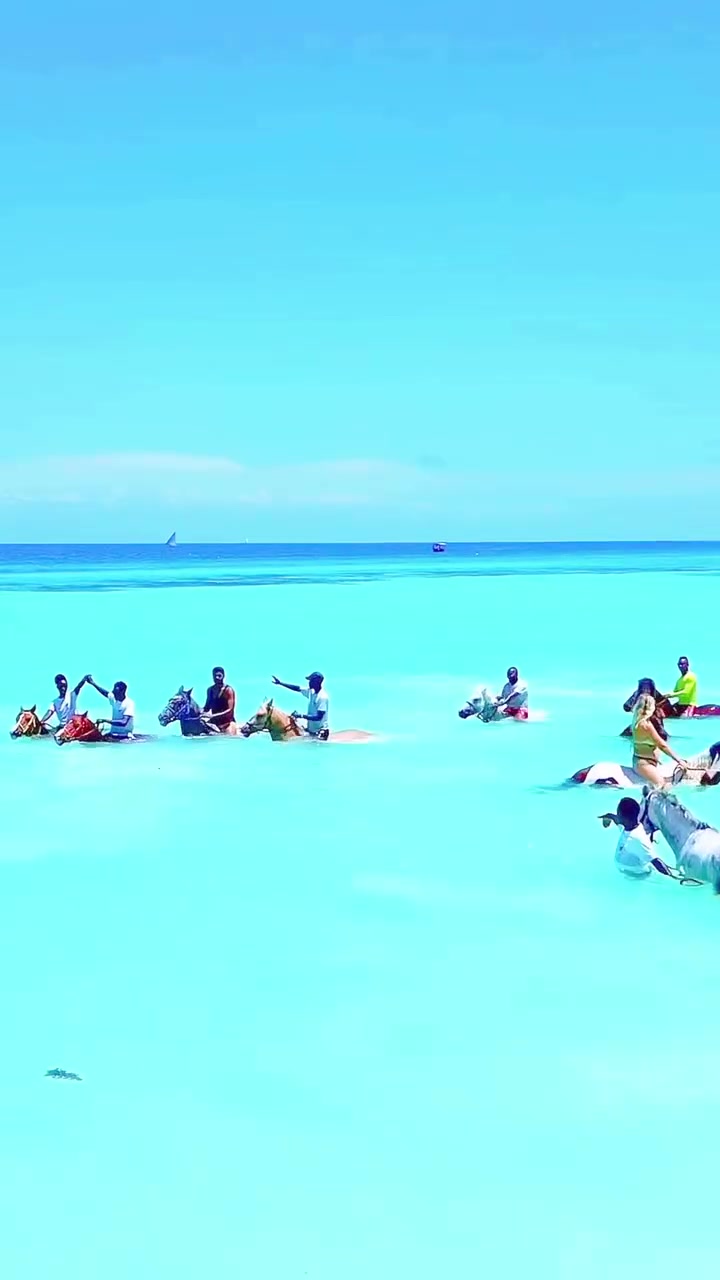 @Zanzibar 🇹🇿