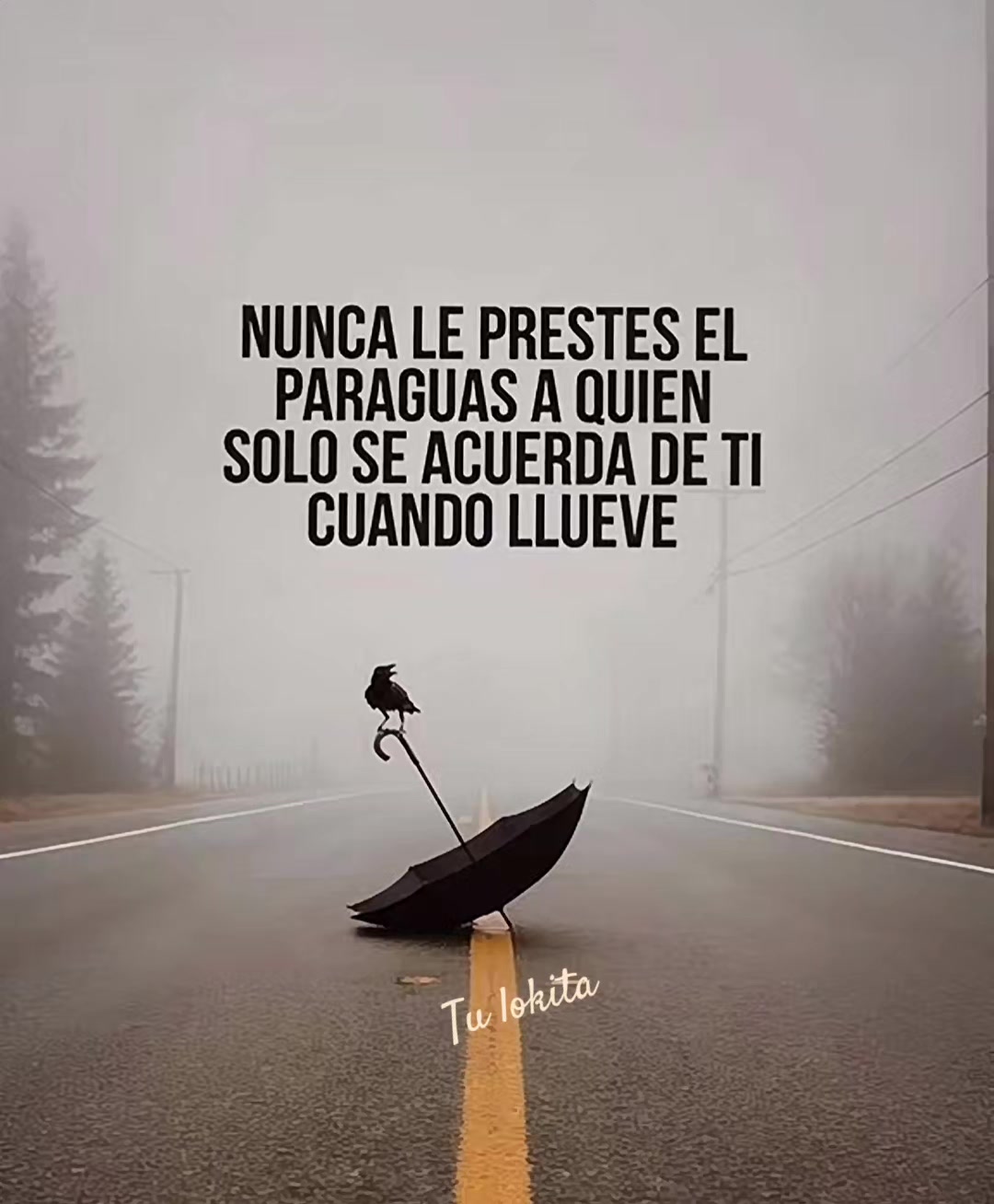 @💞Tu Lokita😘😘♥️