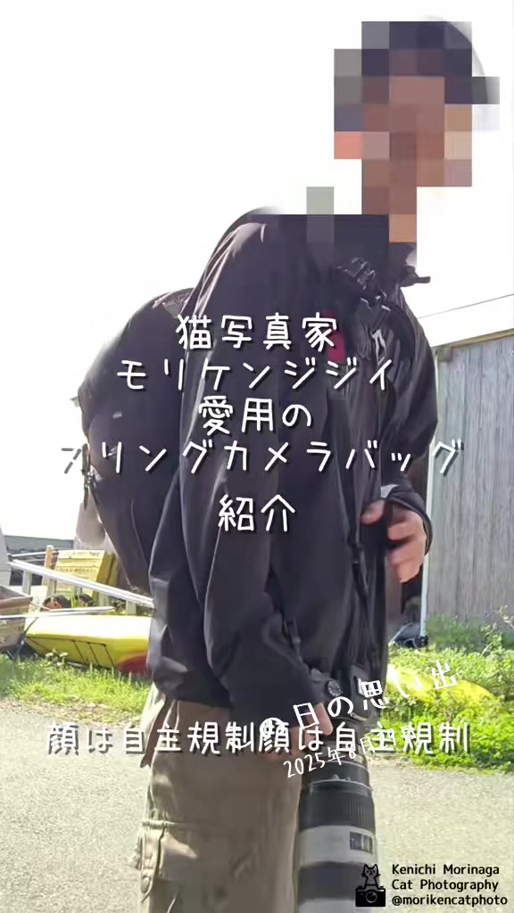@猫写真家 森永健一