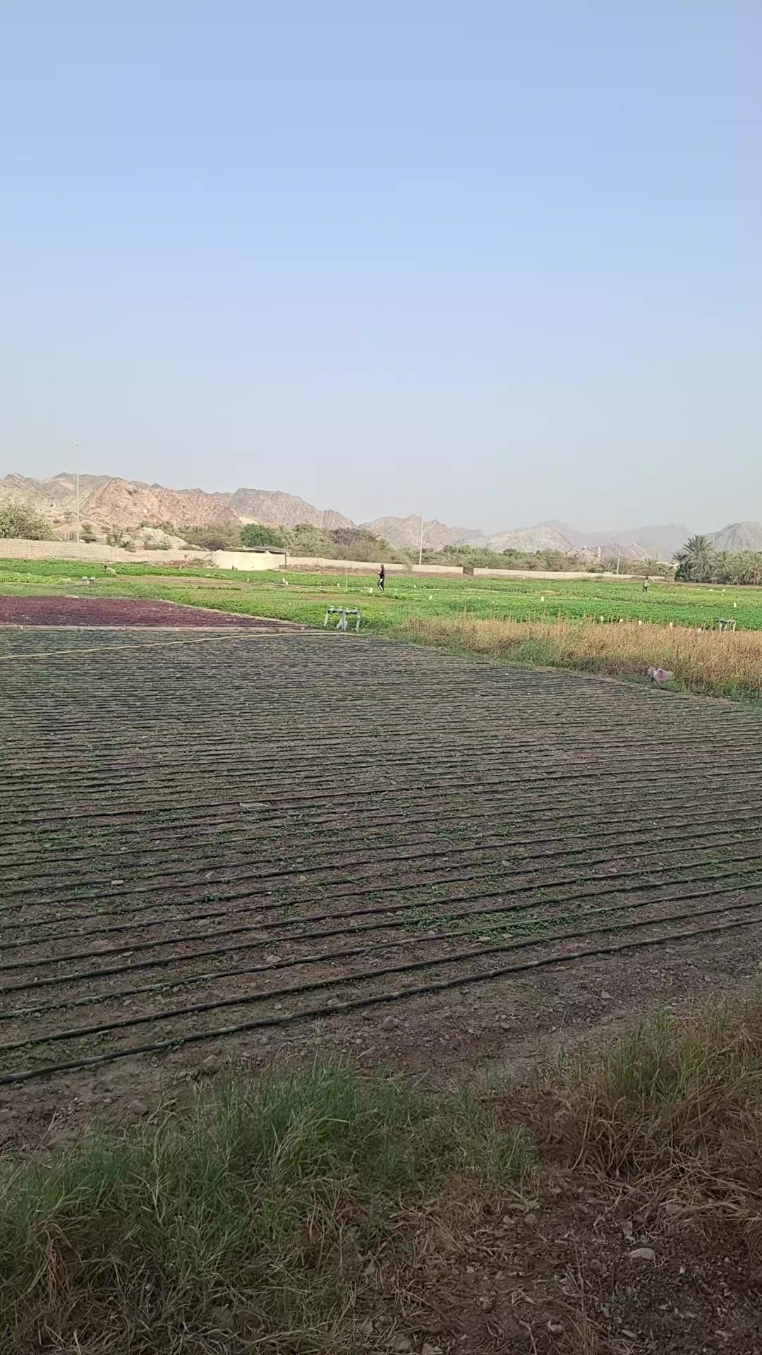 @Ratan mia