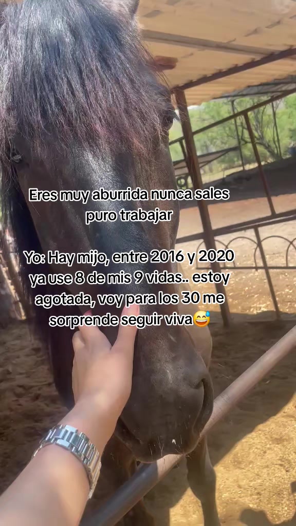 @Luz Llamas