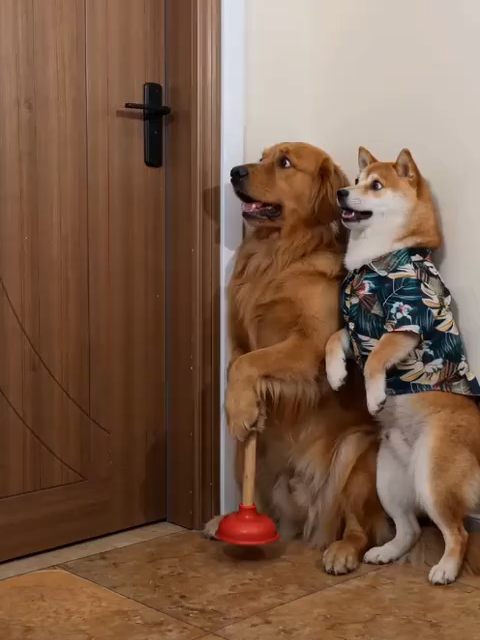 @Snickerpet