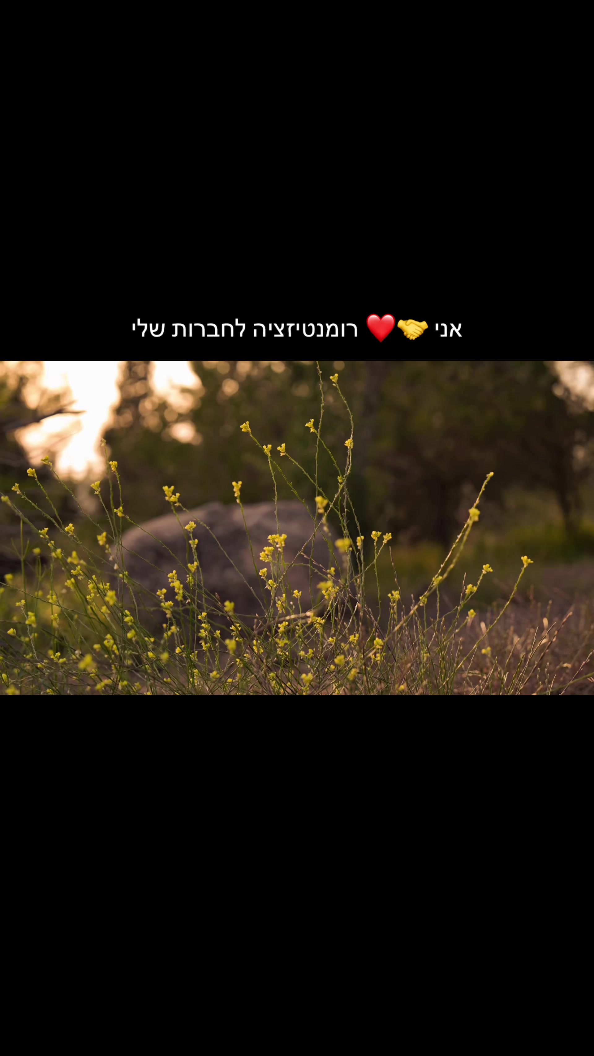 @๐ค