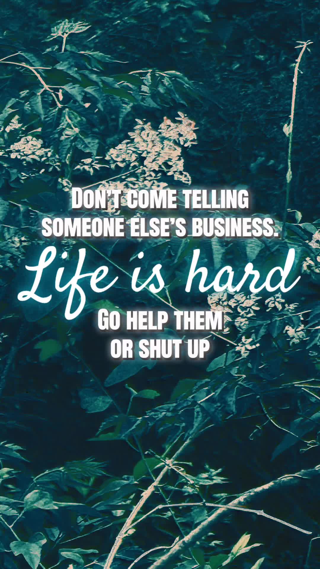 @ᑕᗩITᒪIᑎ