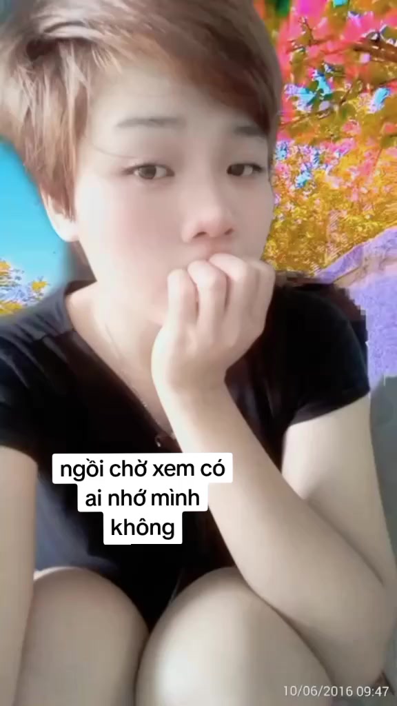 @như ngọc 588