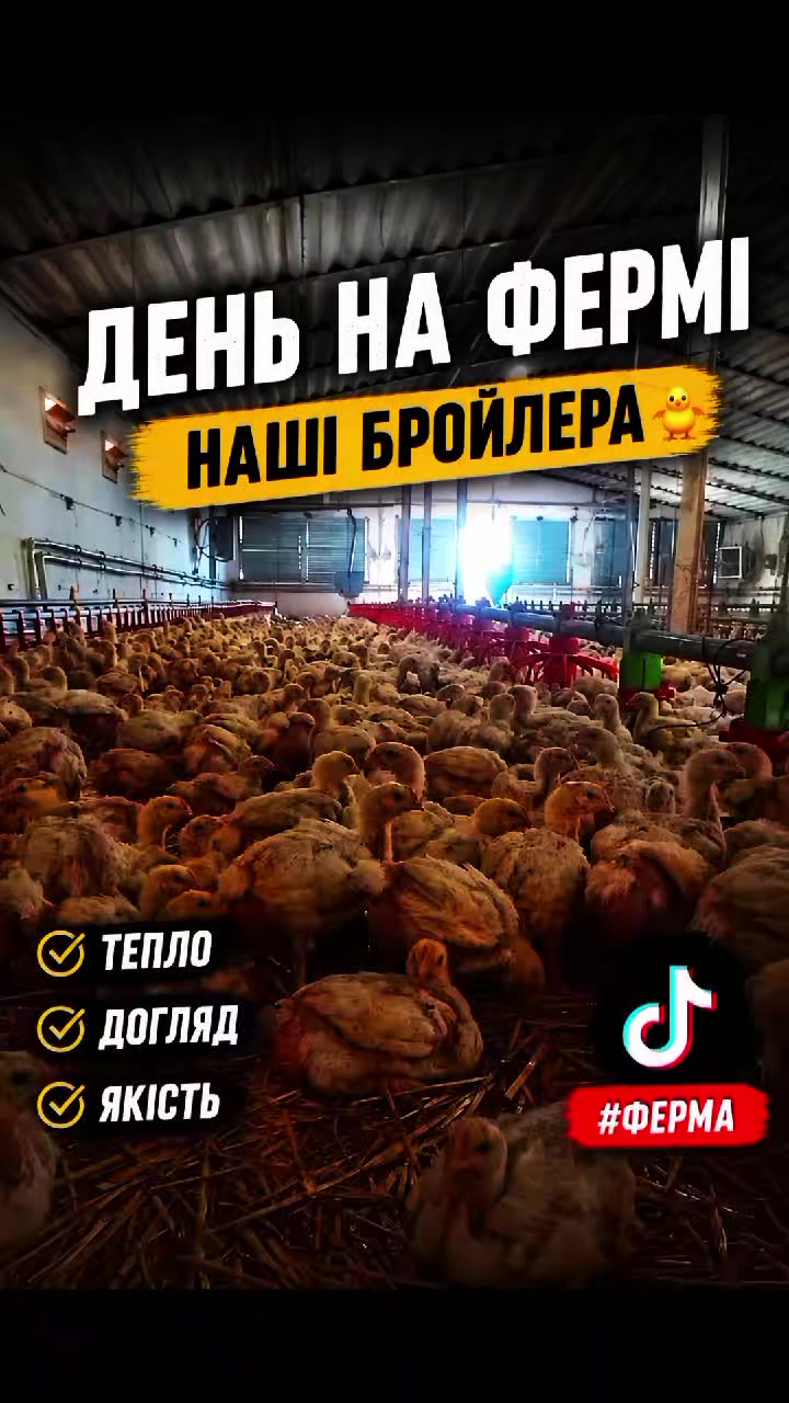 @ЧіКоФерма