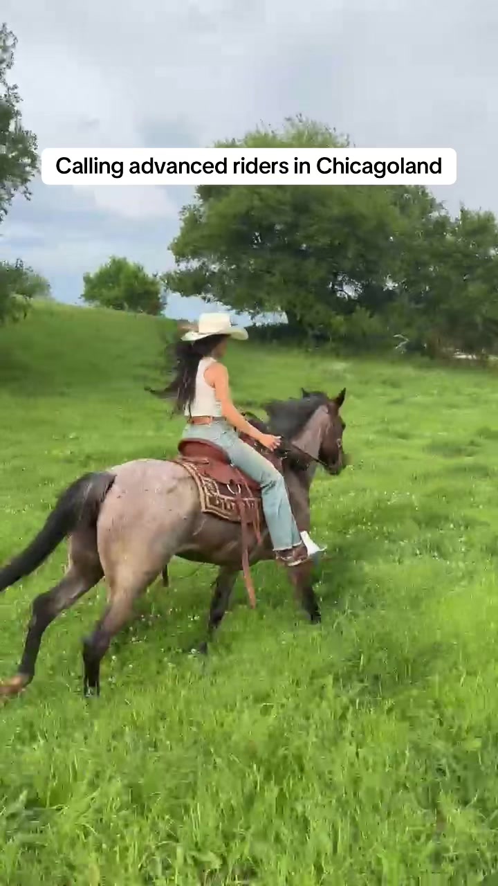 @Millbrook Trail Rides