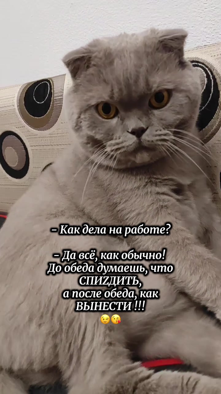 @Tatyana_Alekseeva48