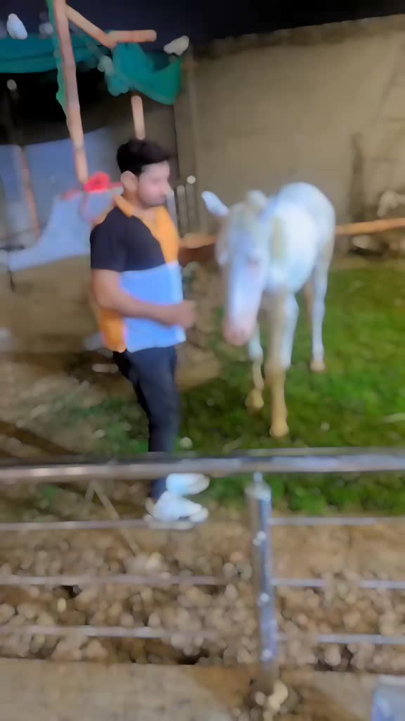 @Dani Baloch