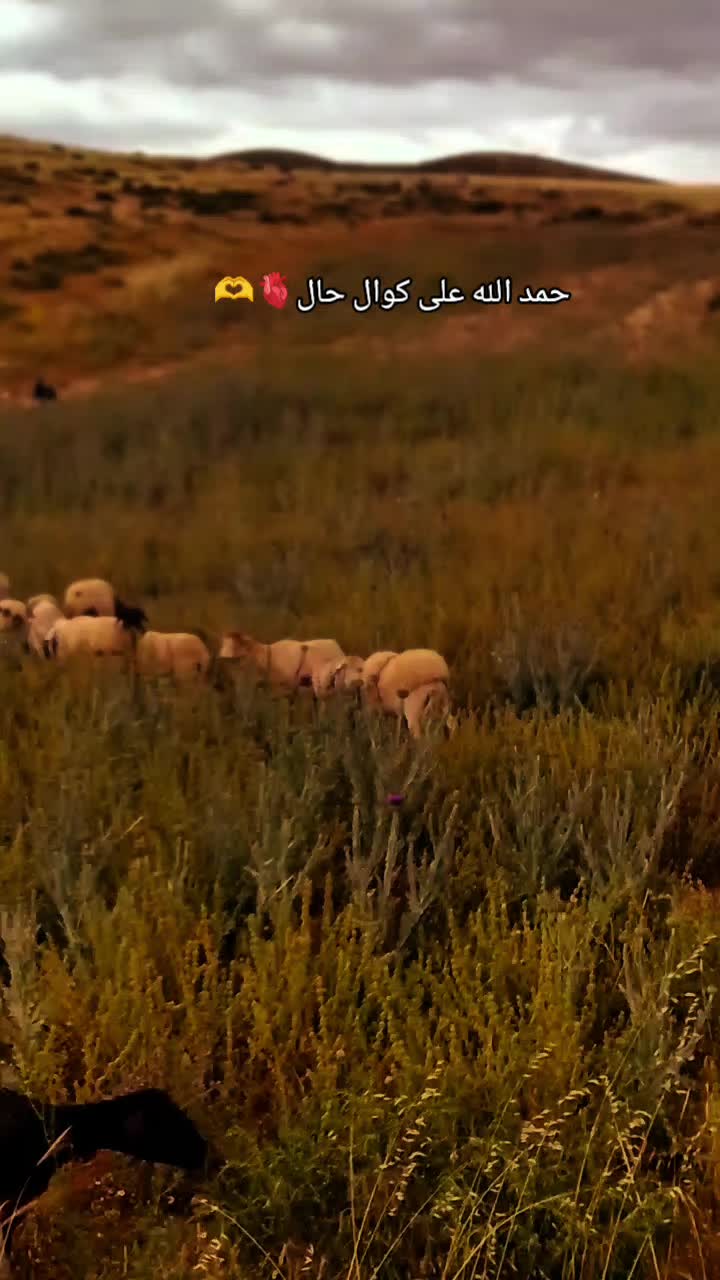 @Ãli khadroui ❤️🔥