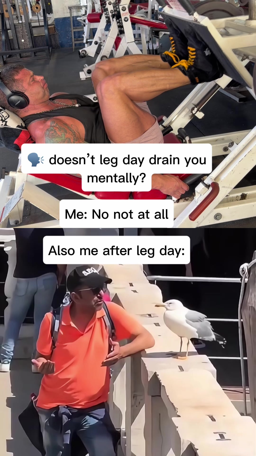 @anabolic_aholic