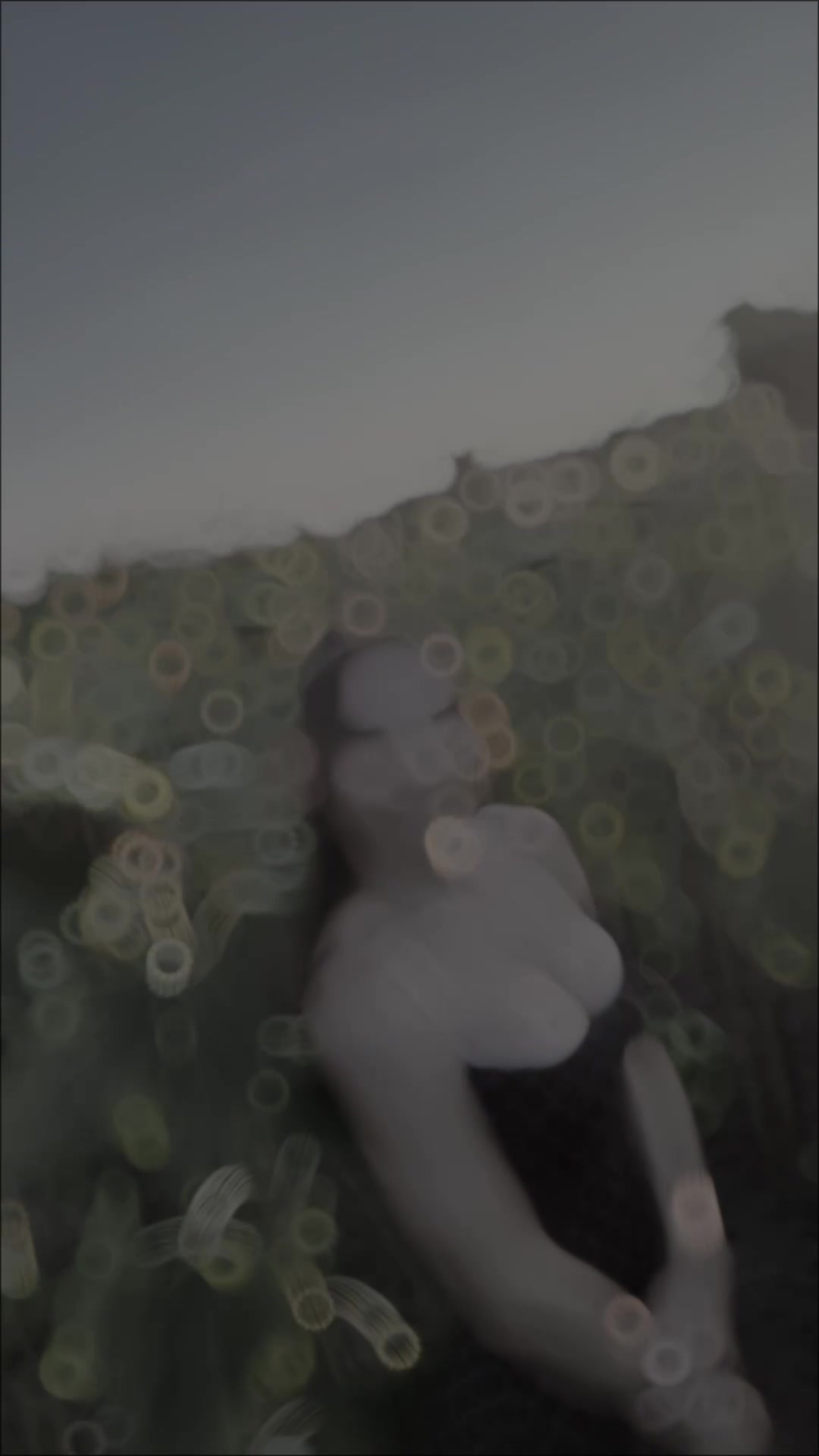 @🍒