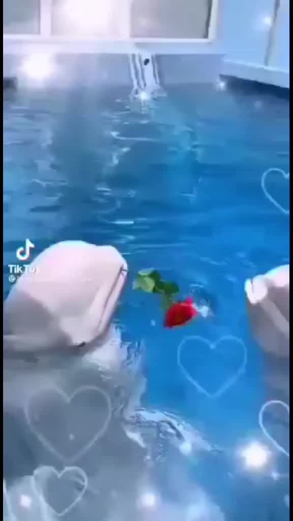 @Валентина