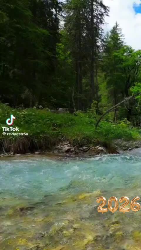 @ام المجد