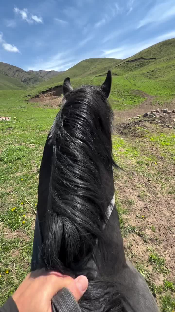 @ThunderGallops