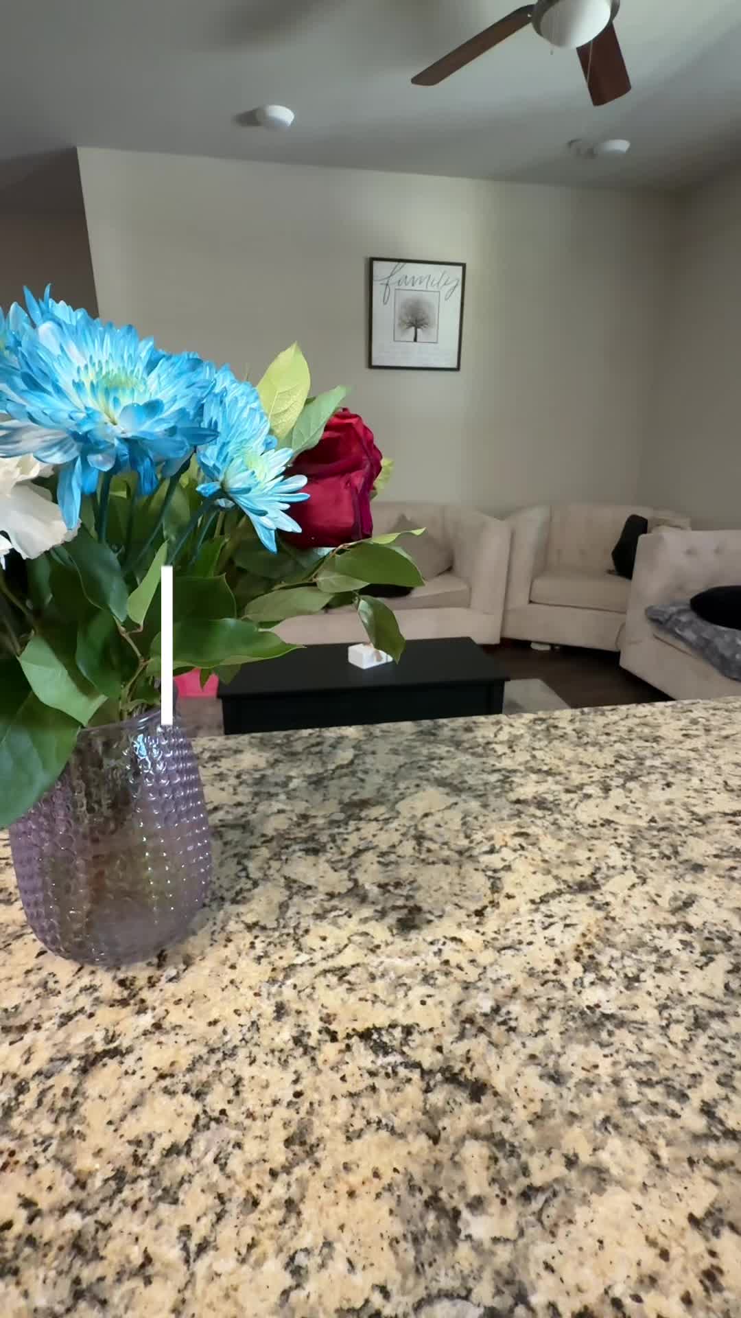 @ivvette_