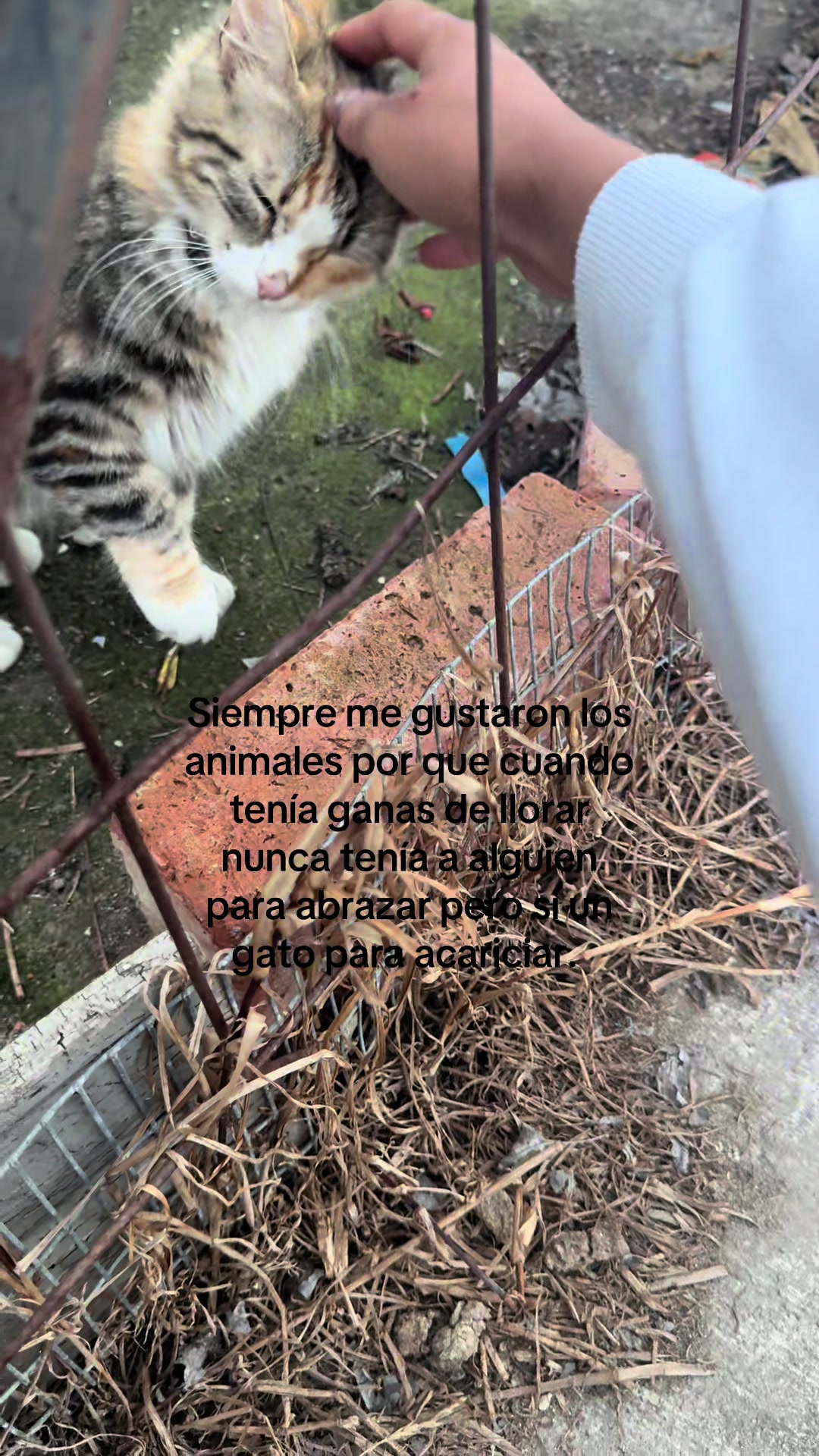 @Conie🫧