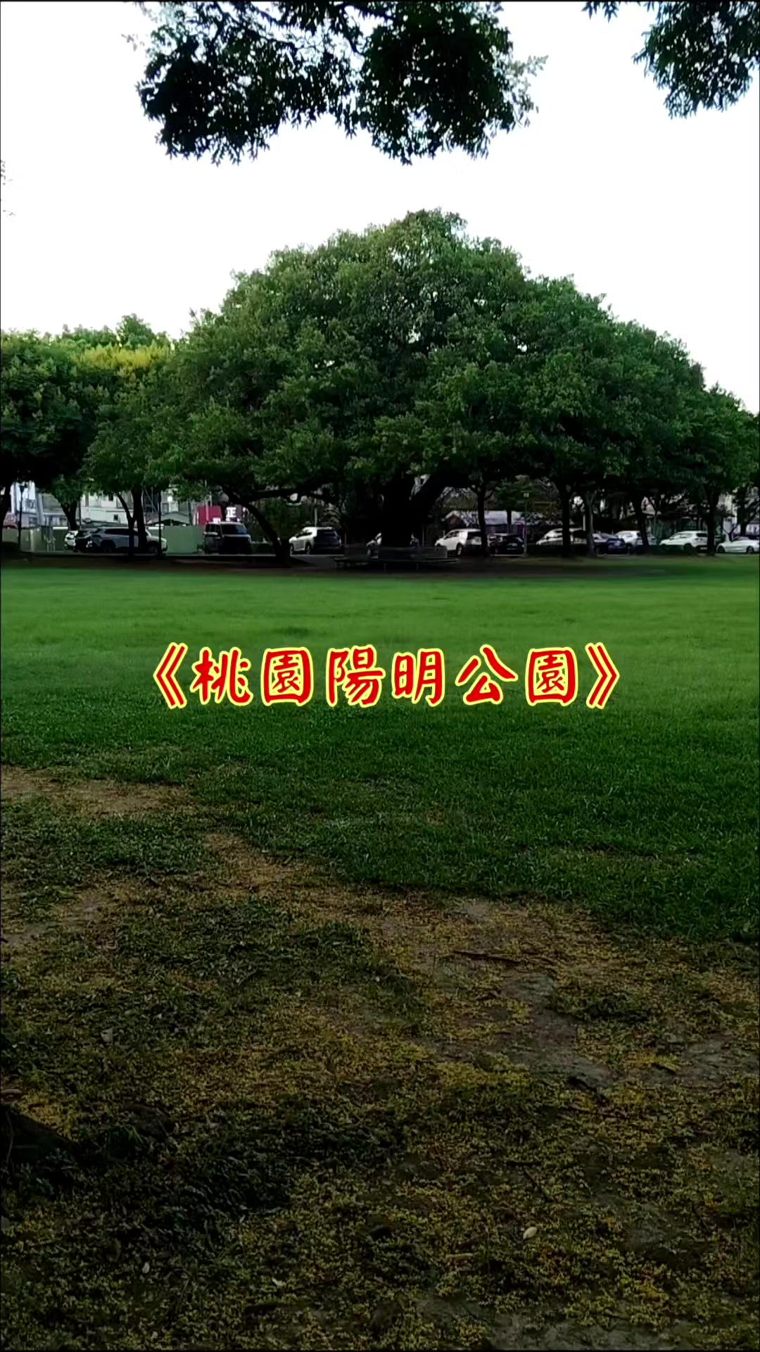 @雞不叫也天亮