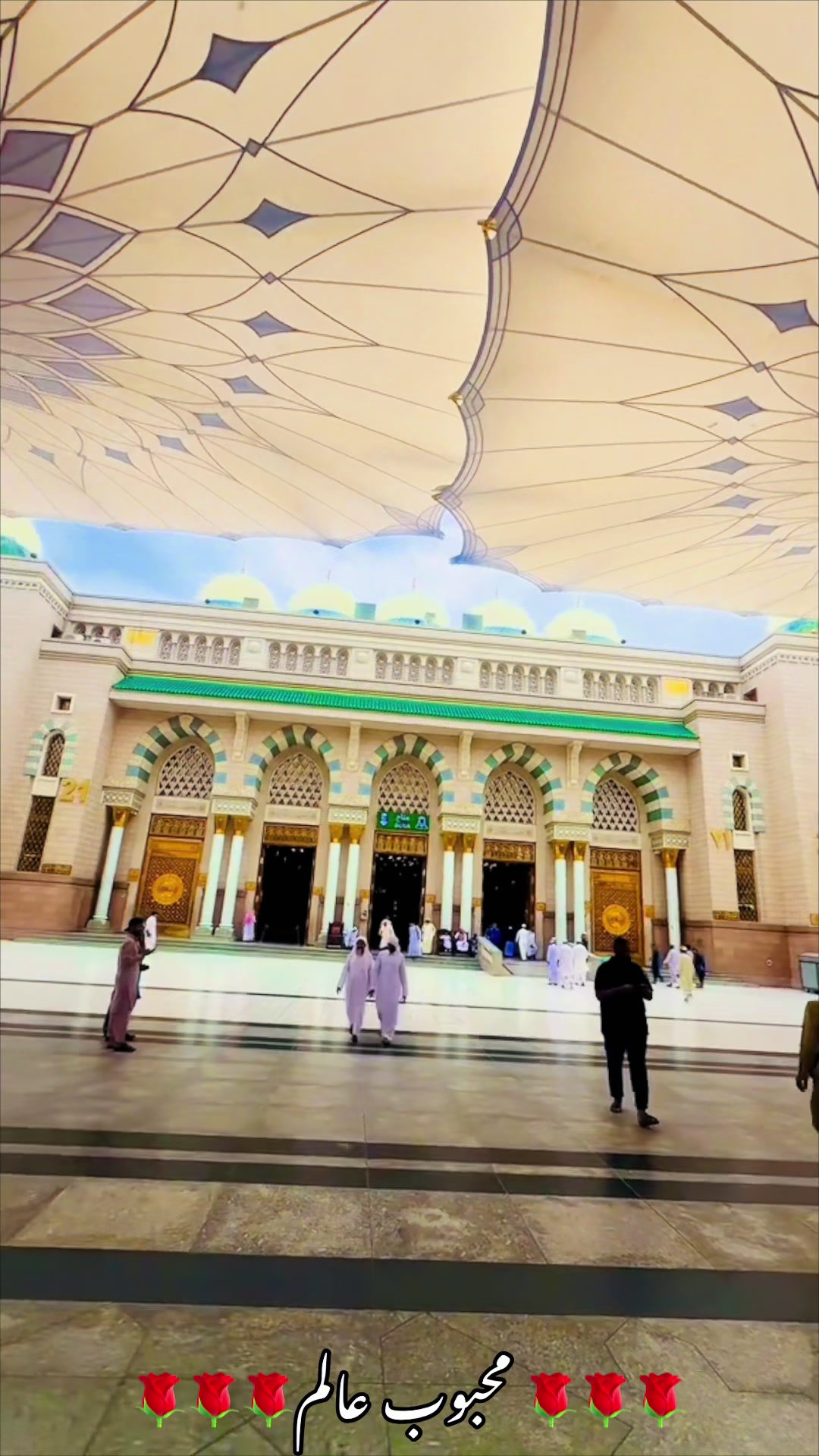 @محبوب عالم