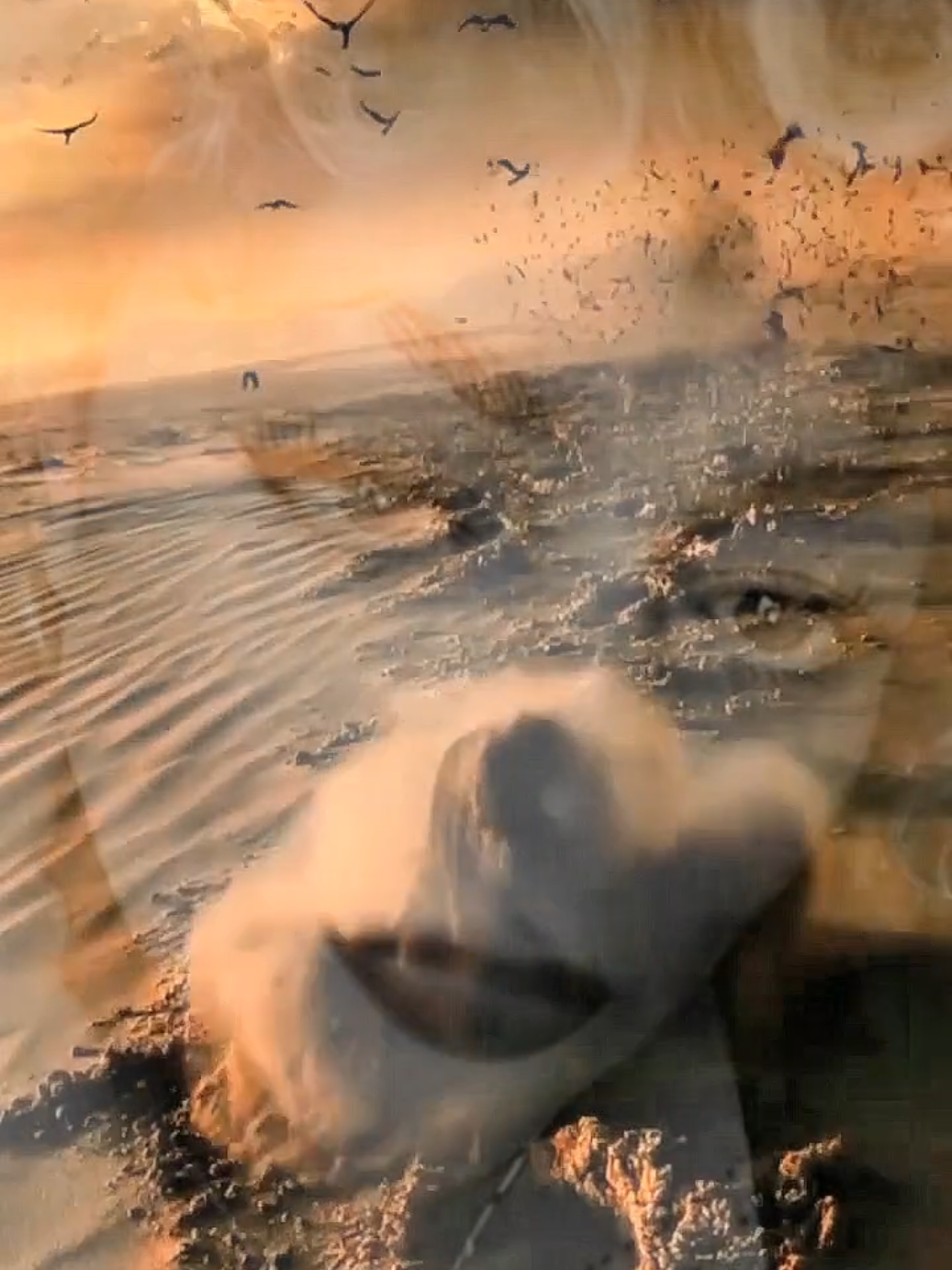 @💫✨❤️missysabelle❤️✨💫