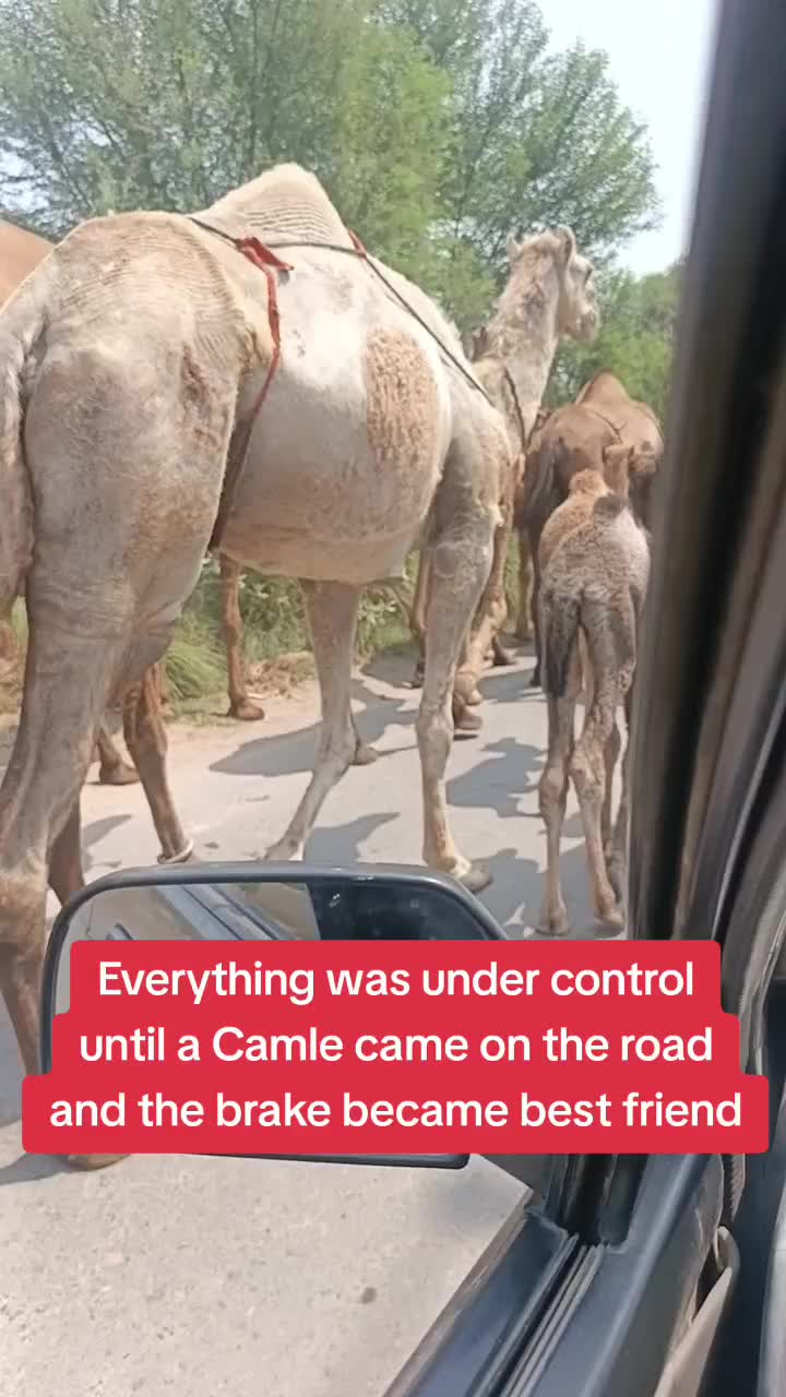 @RoadWisdom Guru Multan