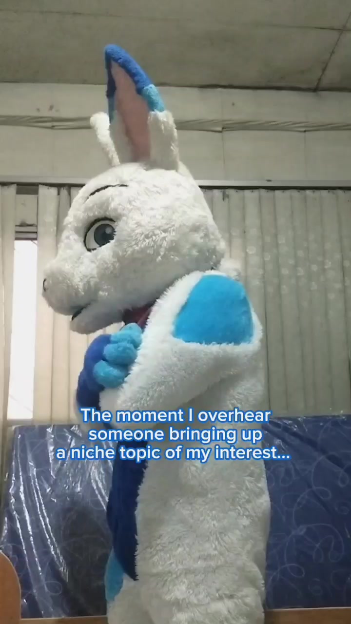 @FXBR