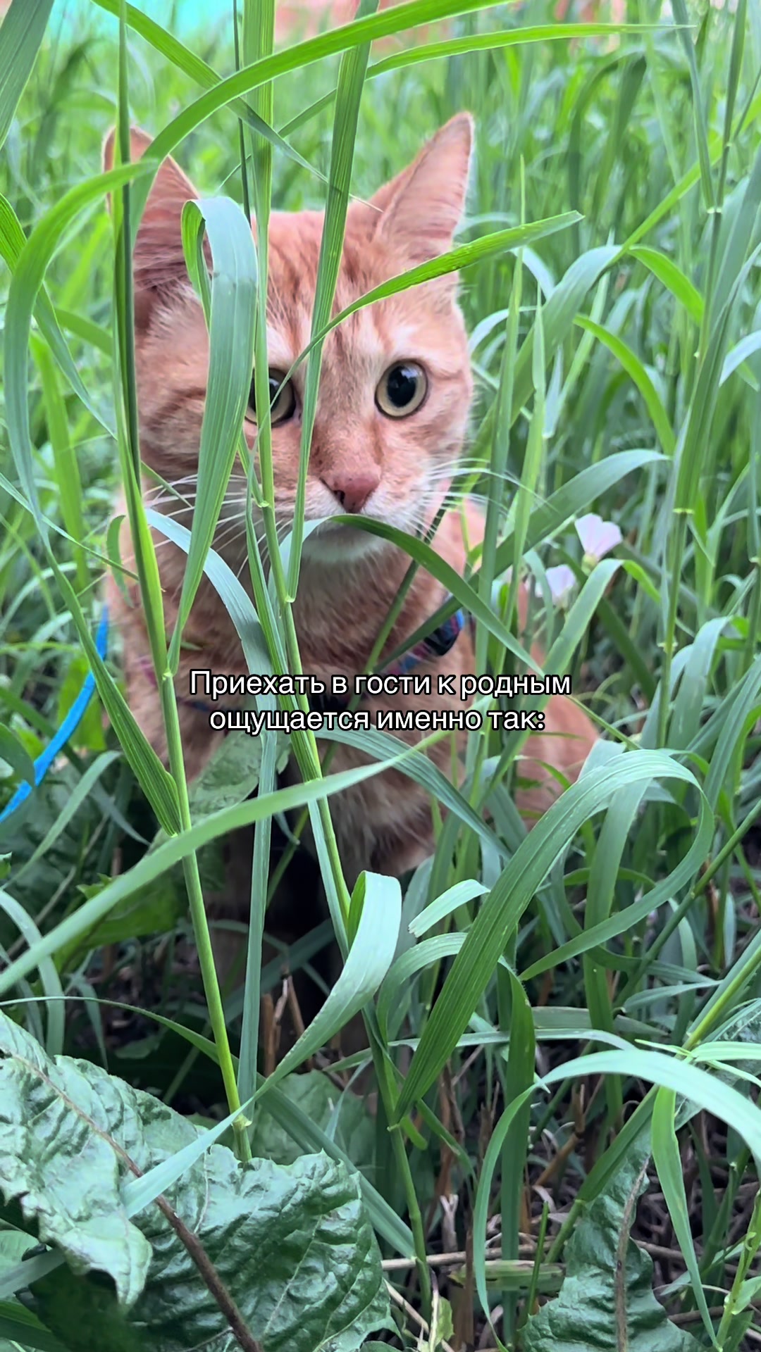 @светильник