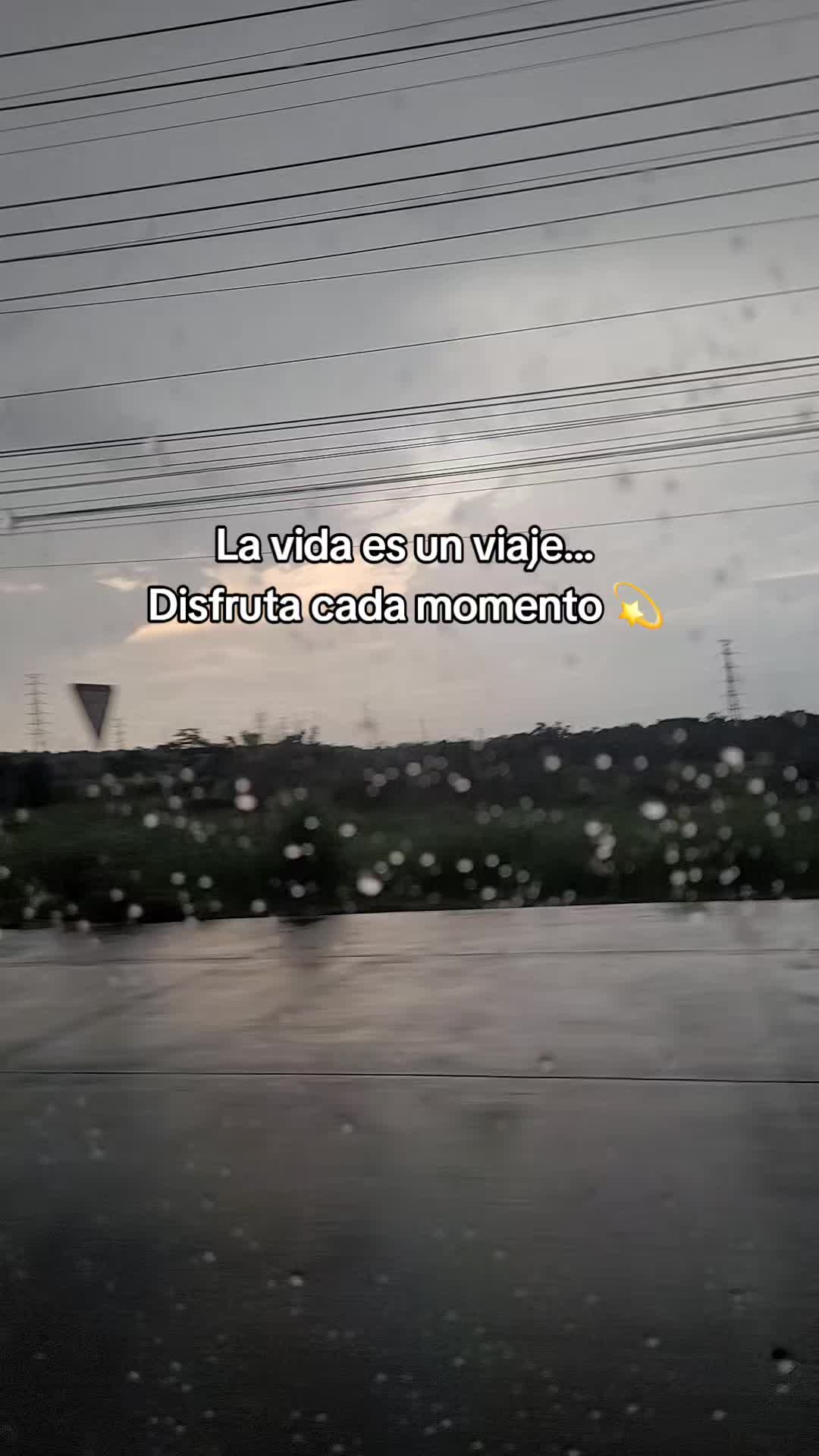 @𝕃𝕚𝕤𝕤 ℝ𝕖yes🇸🇻