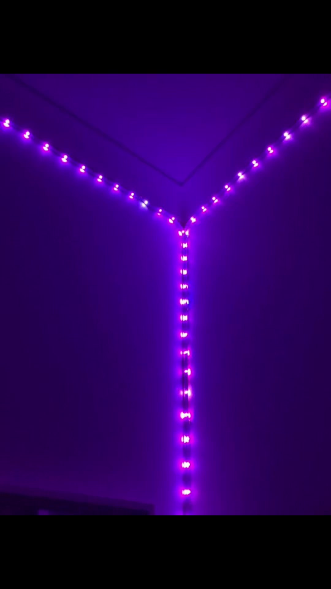 @lulu