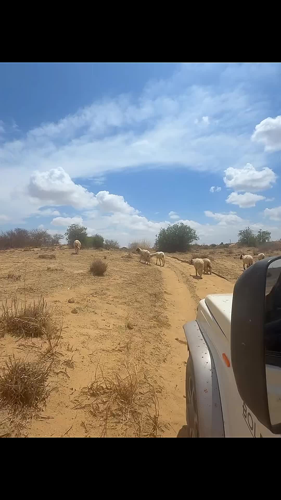 @ابوبکر🌸