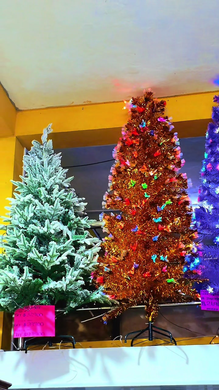 @Tiyo Bacchus