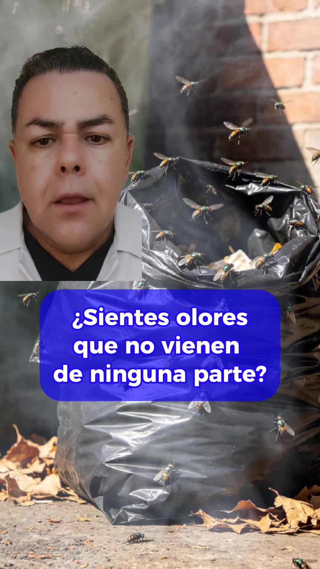 @roberto avaria