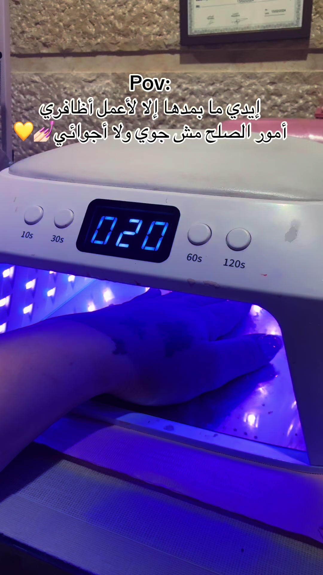 @Susu Sayed