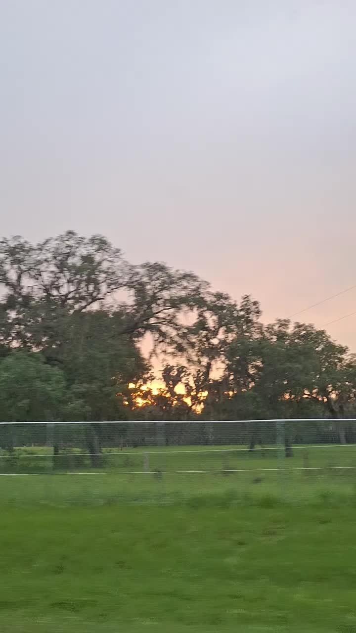 @💜 ꪖꪑ᥇ꫀ᥅