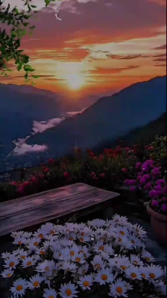 @Beauty of nature❤️
