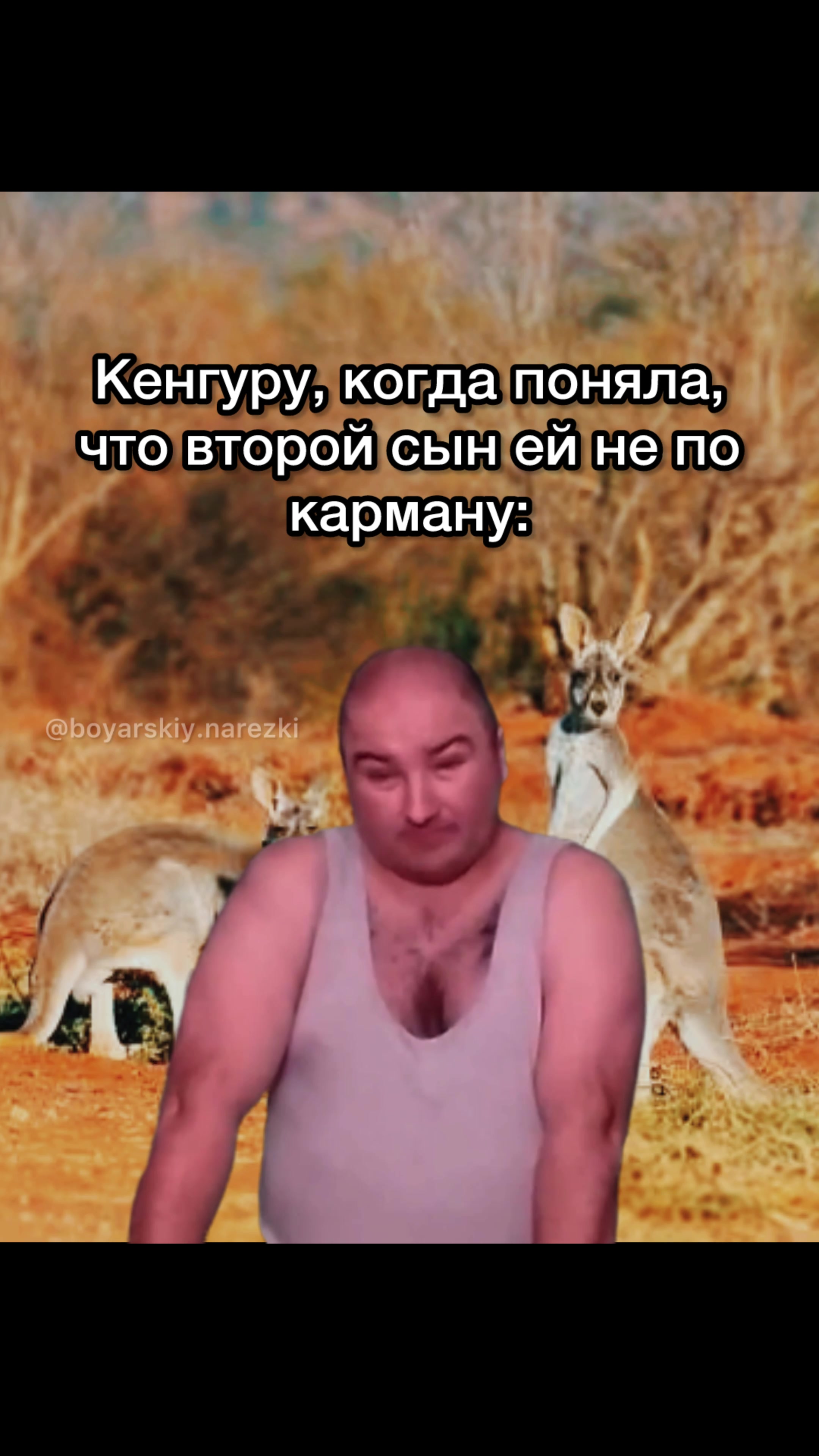 @boyarskiy.narezki