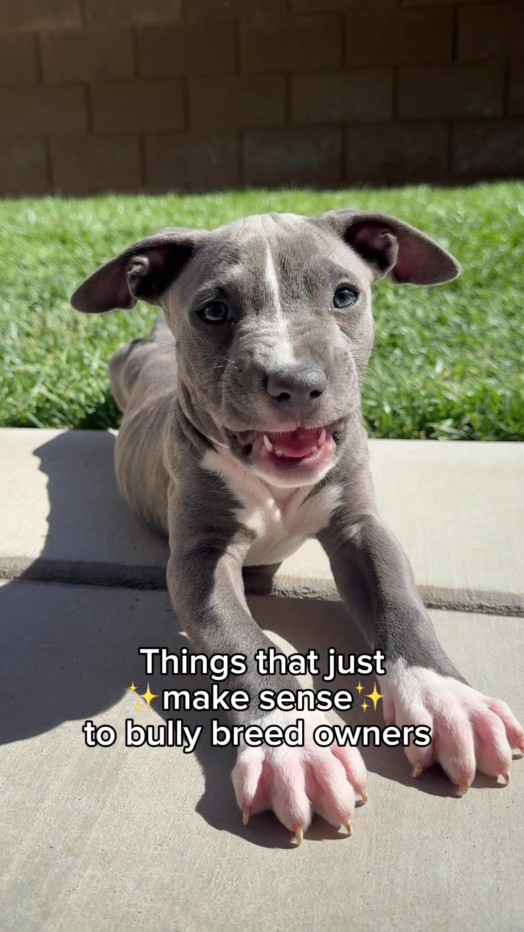 @@knight_thepit